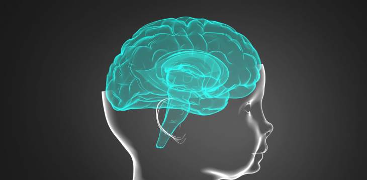 Early Childhood Research Articles 